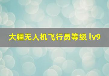 大疆无人机飞行员等级 lv9